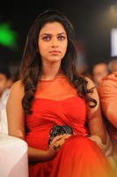 Amala Paul in Nayak Audio Launch